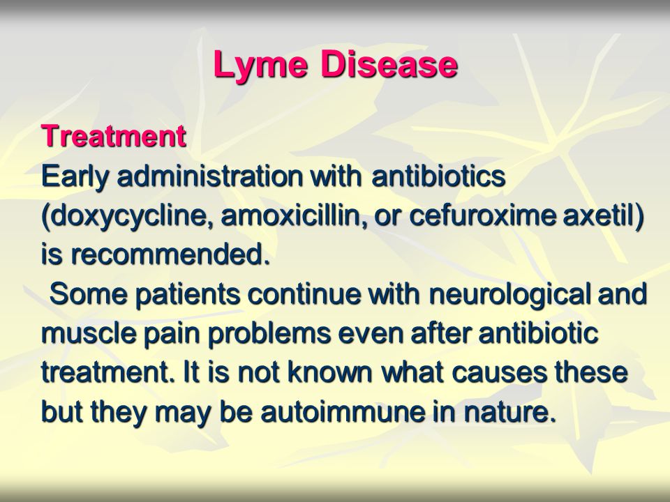 antibiotic doxycycline lyme disease treatment